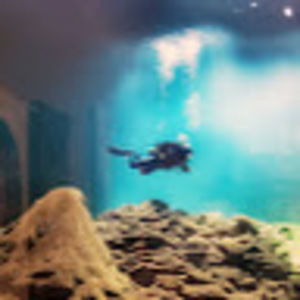 Meet your Posher, Quinn